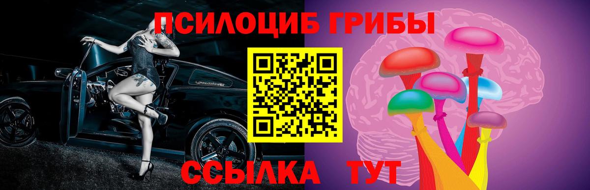 Галлюциногенные грибы GOLDEN TEACHER Сланцы